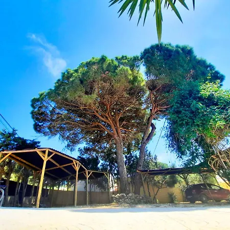 Apartamento Marisma Barbate