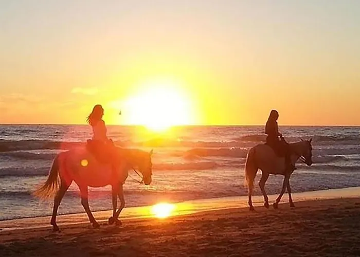 Marisma Appartement *